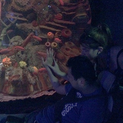 TG1 Sealife Centre Trip