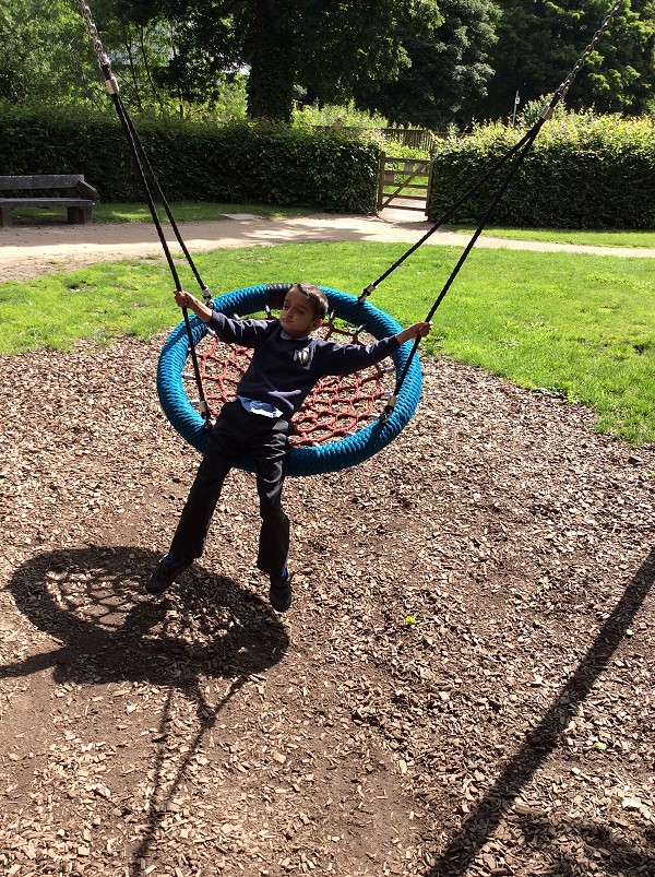 swing