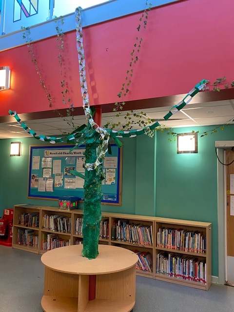 atrium beanstalk