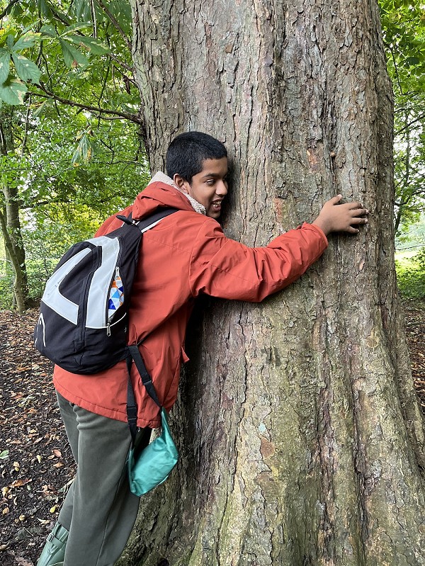 tree