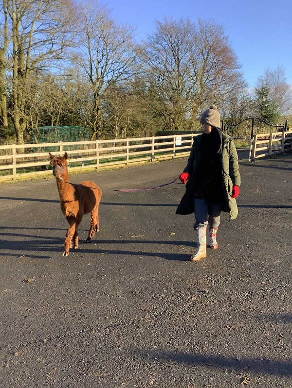 walk