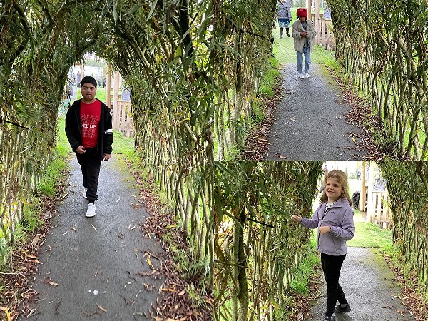 walk