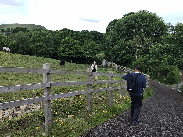 walk