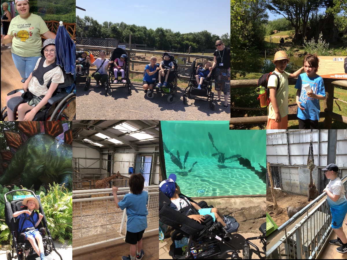 zoo 2